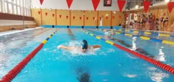 Mistrzostwa w pływaniu