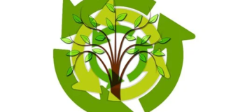 Wyniki konkursu plastycznego na plakat i hasło promujące działania ekologiczne