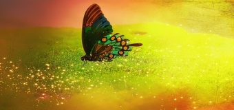 5 Powiatowy Konkurs Plastyczny „Zabawa ze sztuką”- „Motyle”