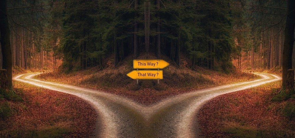 Rozwidlenie dróg w lesie. Którą drogę wybrać?