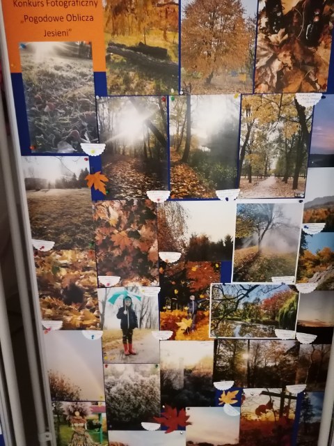 Zdjęcia konkursowe jesieni