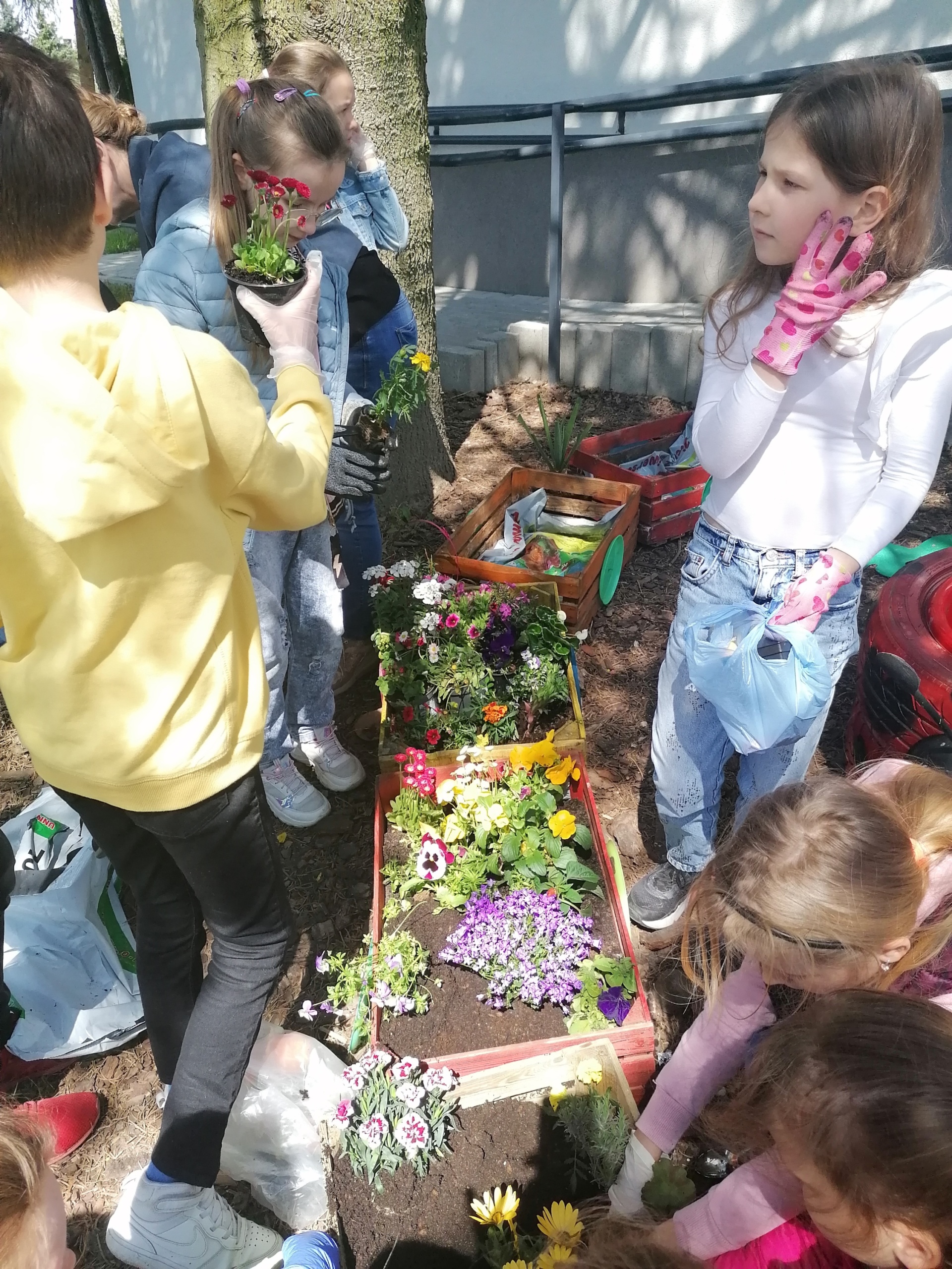 Grupa uczniów wraz z nauczycielką sadzą rośliny w skrzynkach.