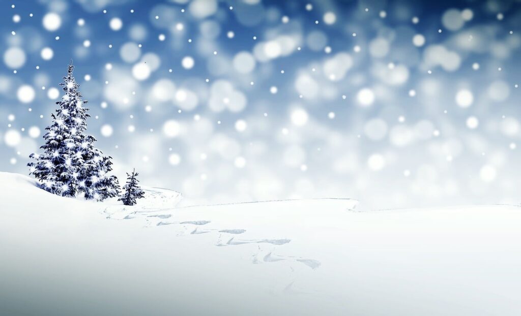 Zimowy obrazek, na śniegu stoi zaśnieżona choinka, z nieba pada śnieg