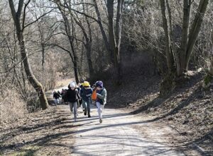 Uczniowie biegną po ścieżce pod górę podczas biegu terenowego, mijają drzewa, które jeszcze nie maja liści.
