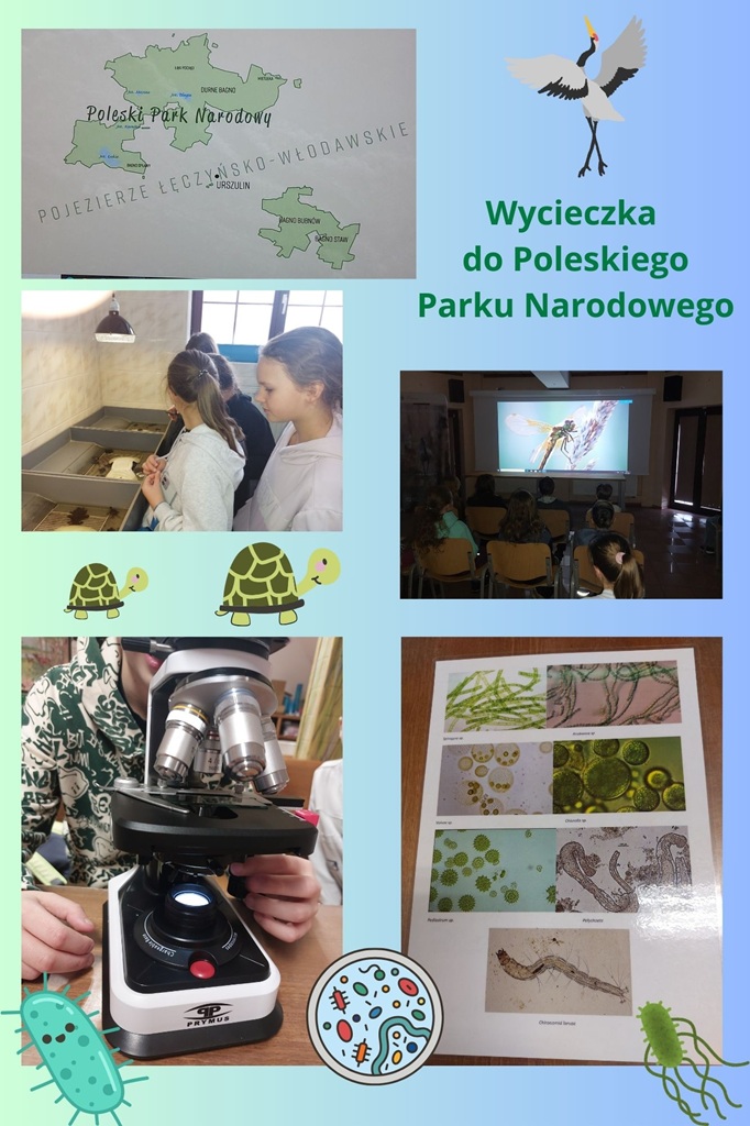 uczniowie z kartami identyfikującymi rośliny i zwierzęta w ręce z mikroskopem na stole