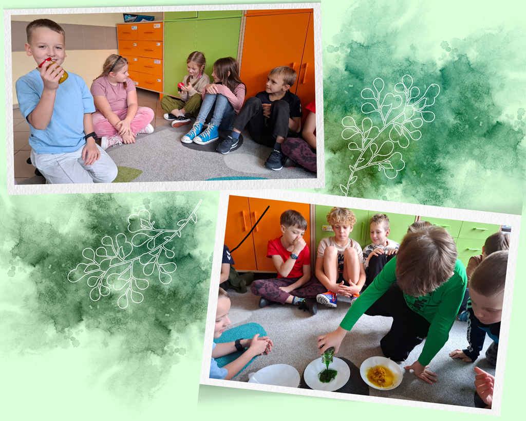 Dzieci oglądają słoiki z sokiem z liści a następnie wylewają je do talerzy z gazą.