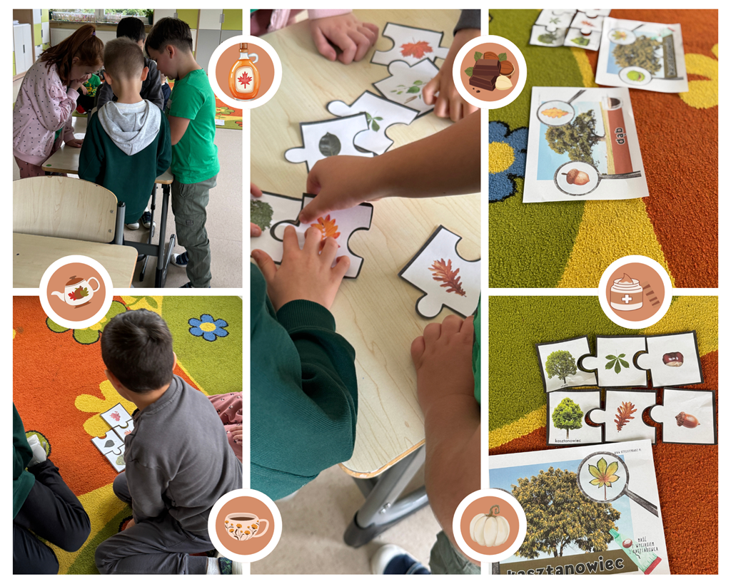 Kolaż. Uczniowie dopasowują puzzle z liśćmi do odpowiednich gatunków drzew i rozpoznając jesienne okazy.