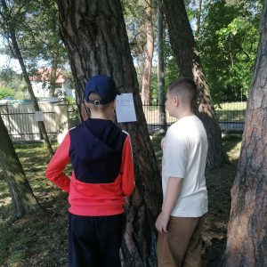 dwóch chłopców stoi wśród drzew i czyta pytanie zapisane na kartce zawieszonej na drzewie