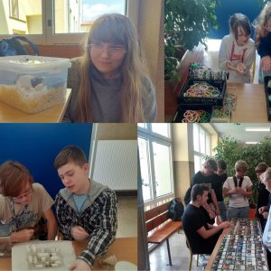 kolaż 4 zdjęć z hobby uczniów
